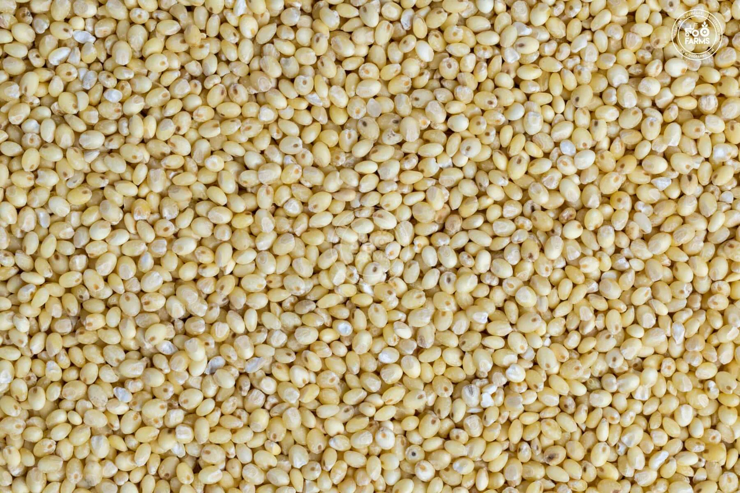 millet